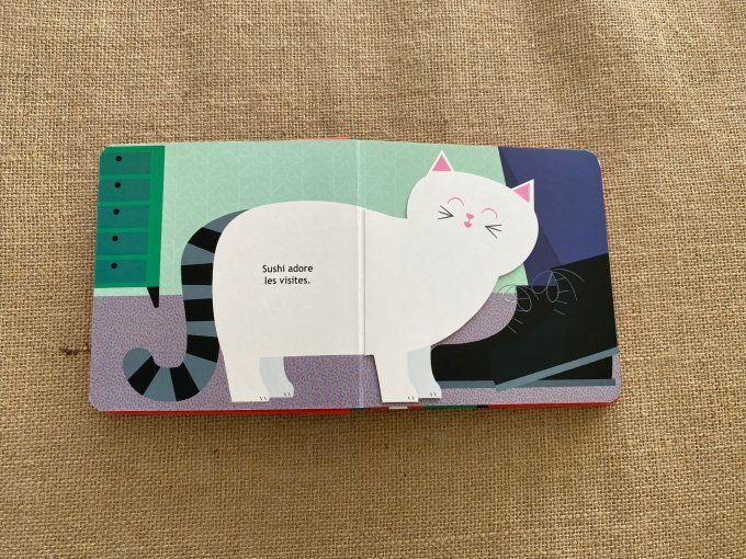 Livre Sushi & Maki Olivia Cosneau d'occasion