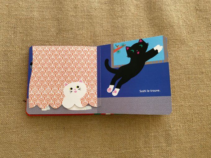 Livre Sushi & Maki Olivia Cosneau d'occasion