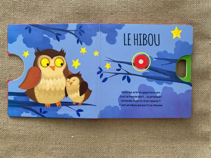 Livre sonore La Forêt Sassi d'occasion