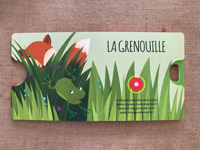 Livre sonore La Forêt Sassi d'occasion