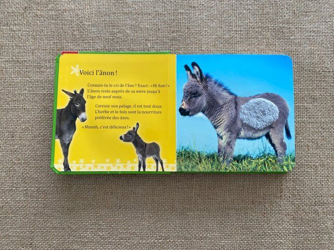 Livre Animaux tout doux Mon livre caresses Schwager & SteinleinVerlag d'occasion