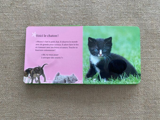 Livre Animaux tout doux Mon livre caresses Schwager & SteinleinVerlag d'occasion