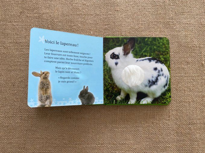 Livre Animaux tout doux Mon livre caresses Schwager & SteinleinVerlag d'occasion