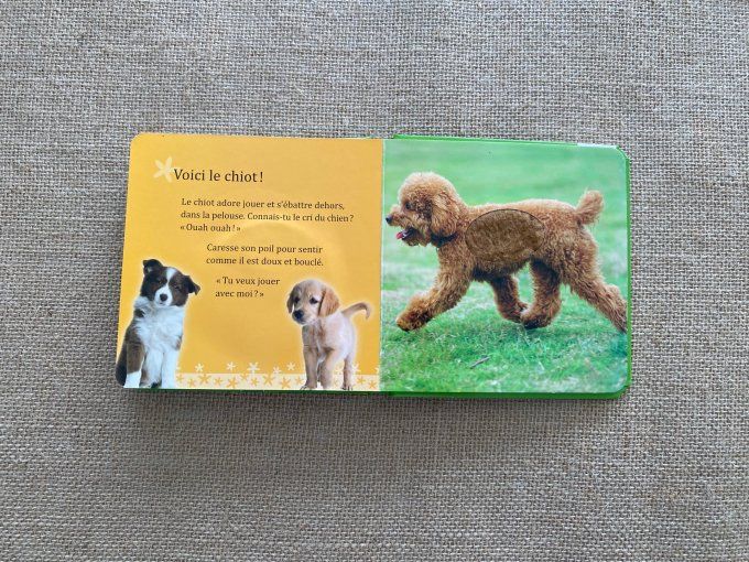 Livre Animaux tout doux Mon livre caresses Schwager & SteinleinVerlag d'occasion