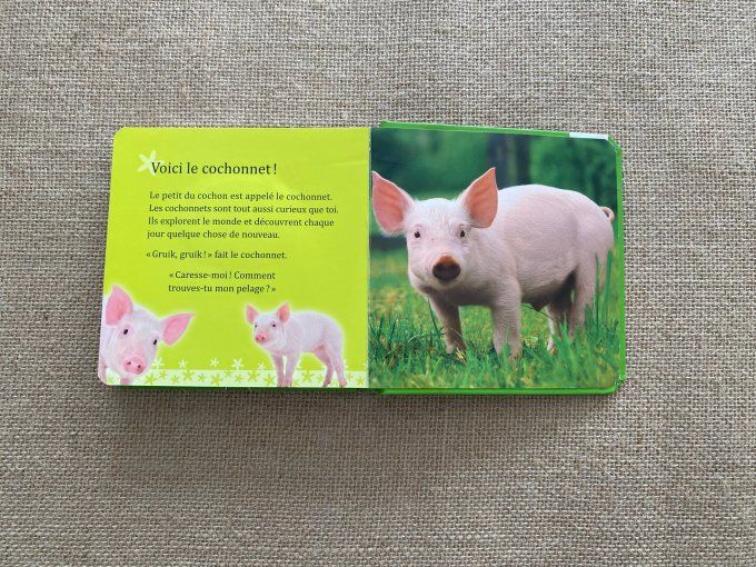 Livre Animaux tout doux Mon livre caresses Schwager & SteinleinVerlag d'occasion