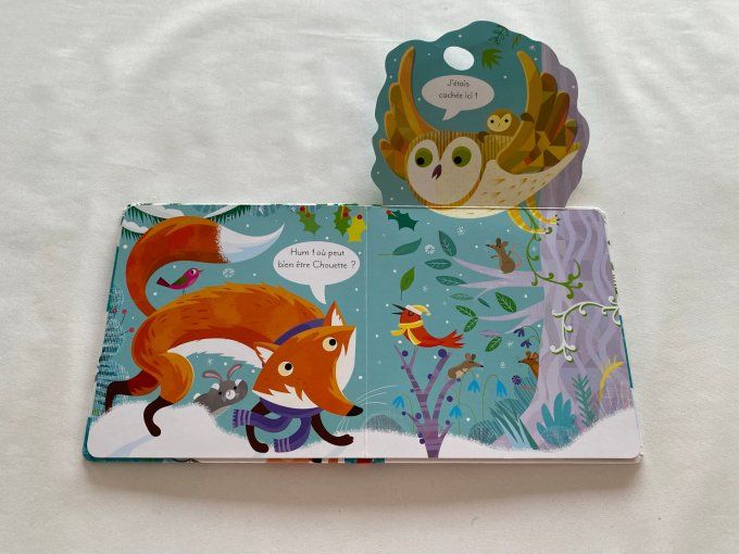 Livre joue à cache-cache avec Renne Usborne d'occasion