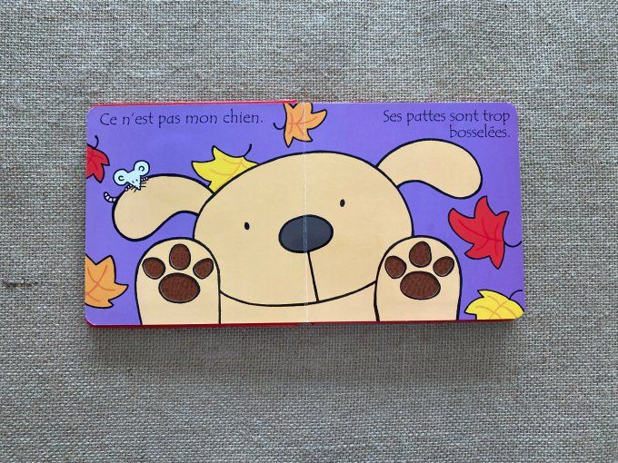 Livre Où est mon chien ? Les tout-doux Usborne d'occasion