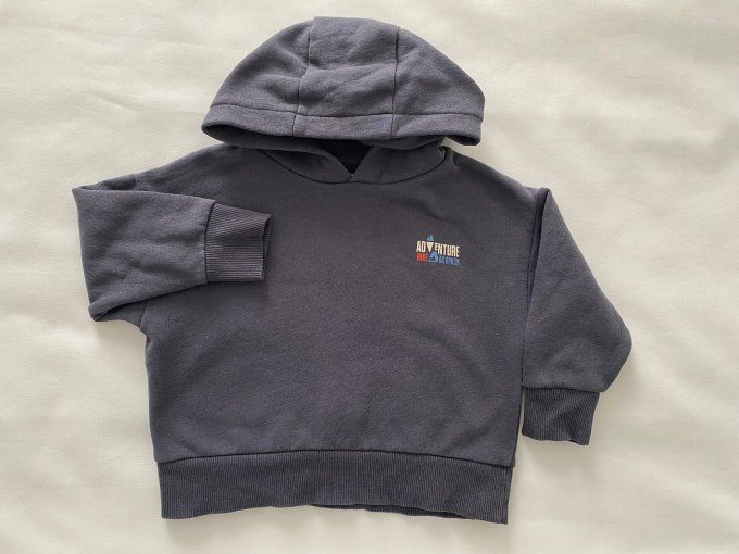 Sweat à capuche gris inscription Adventure Vert Baudet 3 ans d'occasion