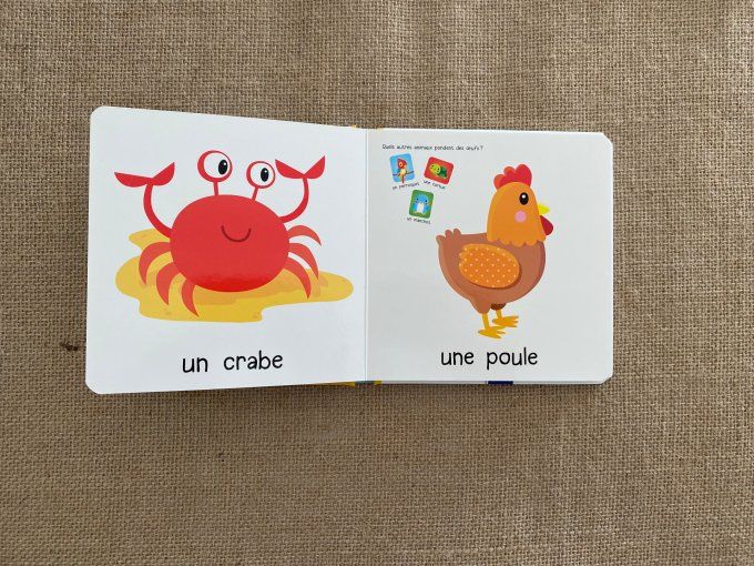 Livre Le animaux YOYO d'occasion
