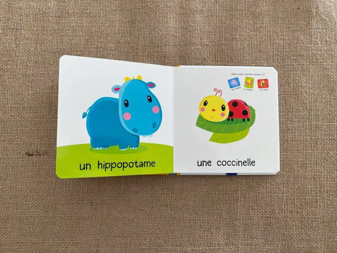 Livre Le animaux YOYO d'occasion